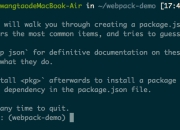 webpack配置的基本介绍