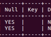 (细节)My SQL中主键为0和主键自排约束的关系