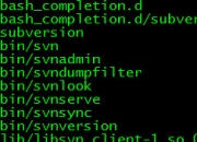 linux red hat 安装svn