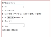 CSS实现表单