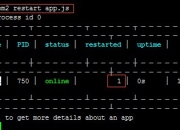 nodejs高大上的部署方式-PM2