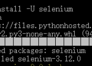 Selenium + Python + Chrome 自动化测试 环境搭建