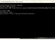 Flutter升级到预览版(入坑)