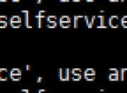 Multiple network matches found for name 'selfservice', use an ID to be more specific.报错